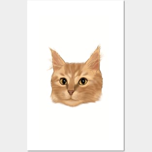 Orange Tabby Cat Portrait Posters and Art